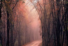 悟空体育:2025环粤港澳大湾区城市自行车挑战赛(信宜站)举行3-23 20:32.