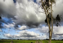 悟空体育:李喜林篮球绝杀20小时前.