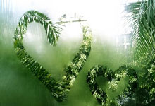 悟空体育:卡扎伊什维利抽射破门当选亚冠东亚区第7轮最佳进球.